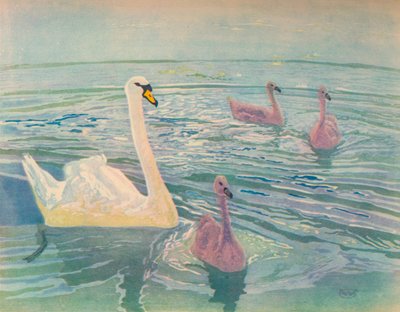 白鳥とシグネッツ、1911、1928 作： William Giles