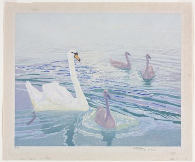 白鳥と白鳥 作： William Giles