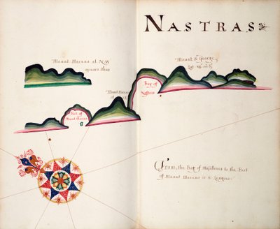 ナストラス、南米太平洋岸 作： William Hack