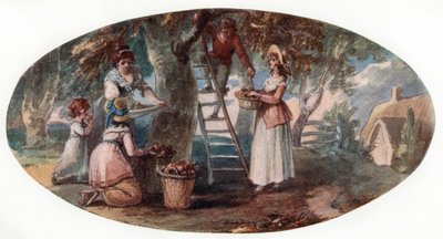 18世紀後半の果物の採集。 作： William Hamilton