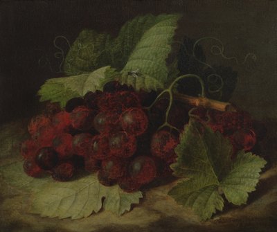ぶどうの静物 作： William Hammer