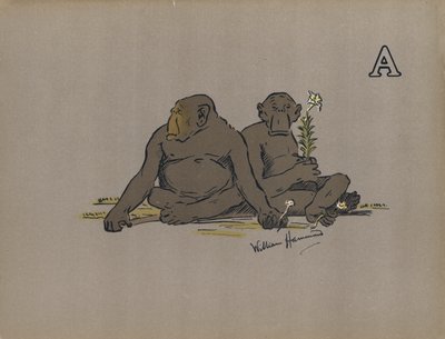 文字 A、異常に無関心な態度を採用する審美的な類人猿 (色リソ) 作： William Hammond
