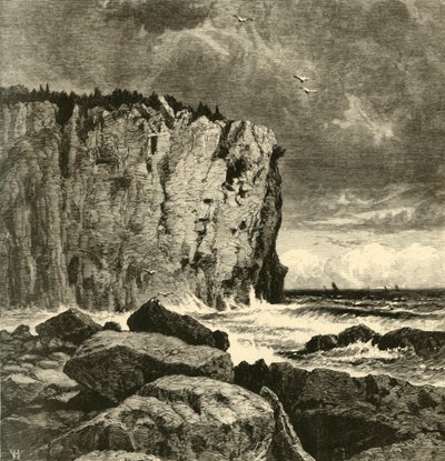 「ビーバー湾近くの断崖」、1872 年。 作： William Hart