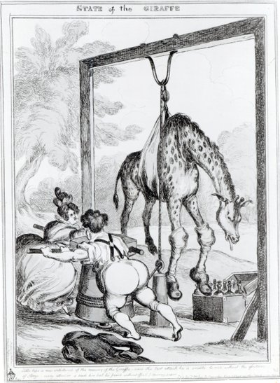キリンの状態、1829 作： William Heath