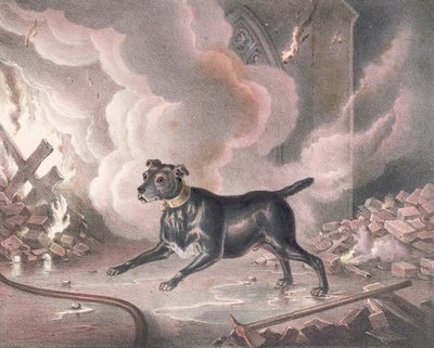 ロンドン消防士の犬 作： William Heath
