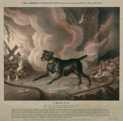 ロンドンの消防士の犬 作： William Heath