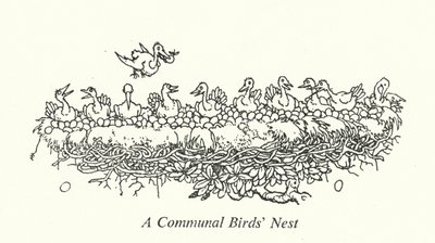 共同の鳥の巣（リトグラフ 作： William Heath Robinson