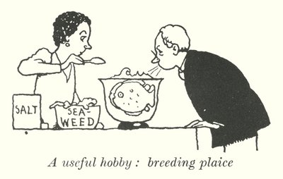 趣味として役立つプレイスの飼育（リトグラフ 作： William Heath Robinson