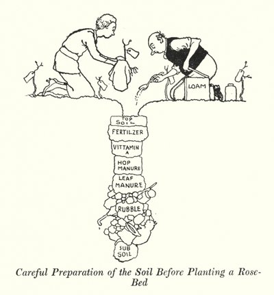 バラの苗を植える前の丁寧な土作り（リトグラフ 作： William Heath Robinson