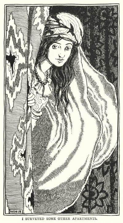 他のマンションを調査しました（彫刻 作： William Heath Robinson