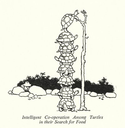 餌を探すカメたちの賢い協力関係（リトグラフ 作： William Heath Robinson