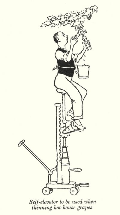 ホットハウスでのブドウの間引き作業時に使用するセルフエレベーター（リトグラフ 作： William Heath Robinson