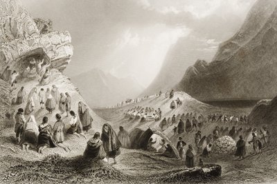 1860年代のジョージ・バーチューによる「アイルランドの風景と古代」からのアイルランド、ゴールウェイ州コネマラ、ホリウェルへの訪問 作： William Henry Bartlett