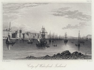 アイルランド、ウォーターフォードの街並み（彫刻 作： William Henry Bartlett