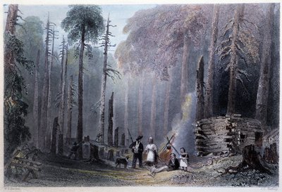 First Settler Installation - in "Canadian scenery illustrated" by W.H. Bartlett, London 作： William Henry Bartlett