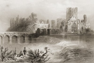 1860年代のジョージ・バーチューによる「アイルランドの風景と古代」からのアイルランド、ティペラリー州ホリクロス修道院 作： William Henry Bartlett