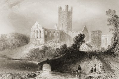 1860年代のジョージ・バーチューによる「アイルランドの風景と古代」からのアイルランド、キルケニー州のジャーポイント修道院 作： William Henry Bartlett