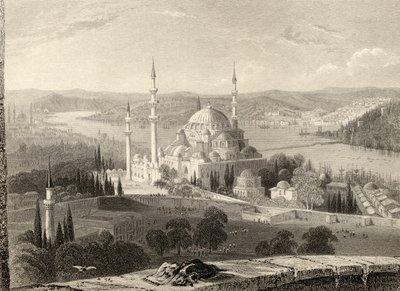 H. Adlardによって彫刻されたトルコ、イスタンブールのセラスキエの塔からのスリーマンのモスクと墓 作： William Henry Bartlett