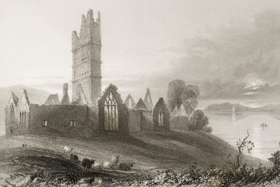 1860年代のジョージ・バーチューの「アイルランドの風景と古代」からのアイルランド、メイヨー郡のモイン修道院 作： William Henry Bartlett