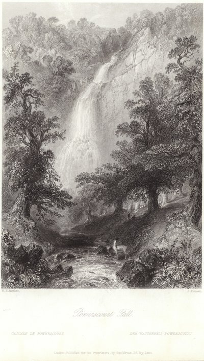 ダース川に落ちるパワーズコート 作： William Henry Bartlett