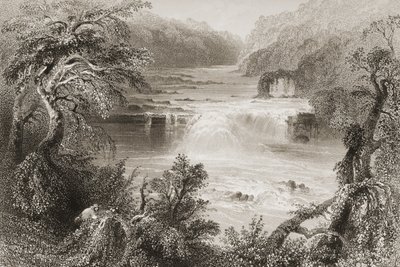 1860年代のジョージ・バーチューによる「アイルランドの風景と古代」からのキルデア州リークスリップでのサーモンリープ 作： William Henry Bartlett