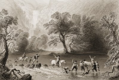 1860年代のジョージ・バーチューの「アイルランドの風景と古美術」から、アイルランドのケリー州デリークンニヒカスケード近くでクワガタを取る（彫刻） 作： William Henry Bartlett