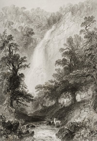 1860年代のジョージ・バーチューによる「アイルランドの風景と古代」からの滝、パワーズコート、ウィックロー州、アイルランド 作： William Henry Bartlett