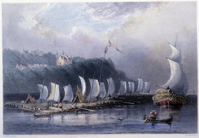 セント・ローレンスのキャップ・サンテでの木材運搬 - バートレット・W・H著「Canadian scenery illustrated」より 作： William Henry Bartlett