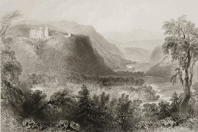 1860年代のジョージ・バーチューによる「アイルランドの風景と古代」からのアイルランドのウィックロー州、ヴェイルオブアボカ 作： William Henry Bartlett
