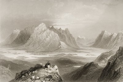 1860年代のジョージ・バーチューによる「アイルランドの風景と古代」からのゴールウェイ州、コネマラ、クロナカルティンヒルからの眺め 作： William Henry Bartlett