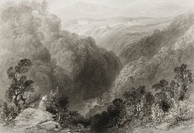 1860年代のジョージ・バーチューによる「アイルランドの風景と古代」からのウィックロー州ダーグルからのパワーズコートの眺め 作： William Henry Bartlett