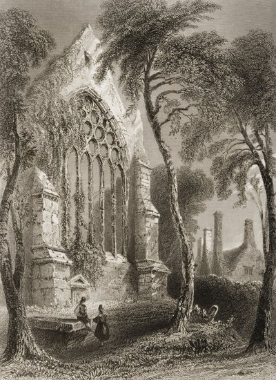 ヨーグル修道院、アイルランドのコーク州、ジョージ・バーチュー作「アイルランドの風景と古代」1860年代 作： William Henry Bartlett