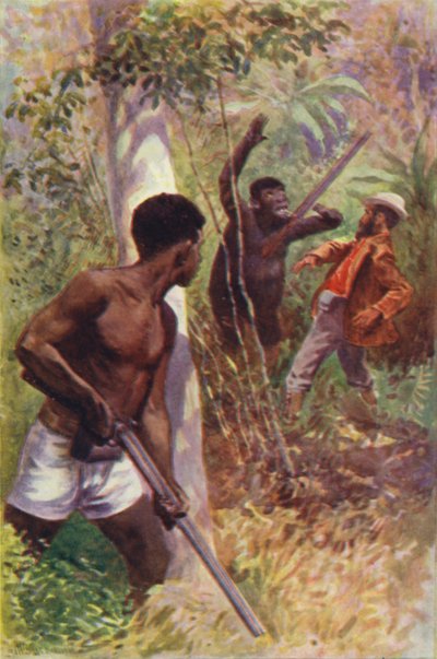 R・M・バランタイン著「The Gorilla Hunters」のイラスト（カラーリトグラフ）。 作： William Henry Charles Groome