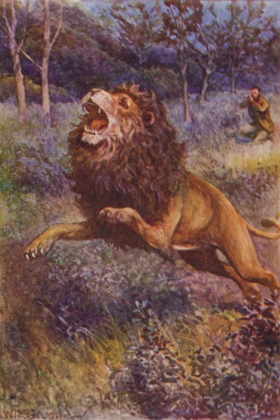 R・M・バランタイン著「The Gorilla Hunters」のイラスト（カラーリトグラフ）。 作： William Henry Charles Groome
