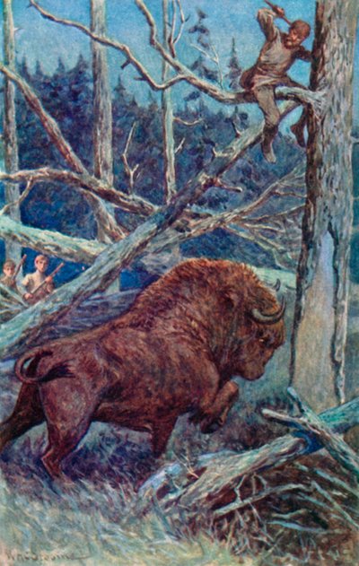 バイソンは激怒して地面を踏みました 作： William Henry Charles Groome