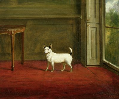 ジャックラッセルテリアの肖像（リージェンシー内部）1814 作： William Henry Davis
