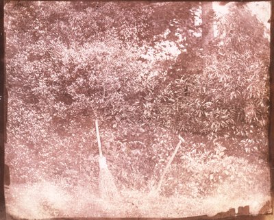 ほうきとスペード、1842 作： William Henry Fox Talbot