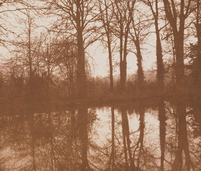 反射、1843年（セピア写真） 作： William Henry Fox Talbot