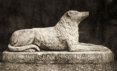 マイダ像、ウォルタースコット卿のお気に入りの犬であると報告されています。 （セピア写真） 作： William Henry Fox Talbot