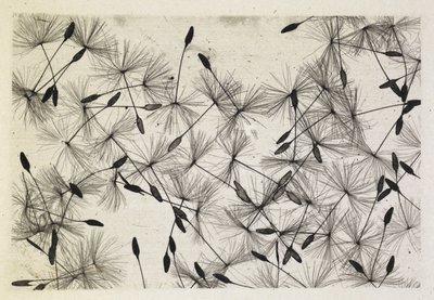 タルボット写真 24 1730 作： William Henry Fox Talbot