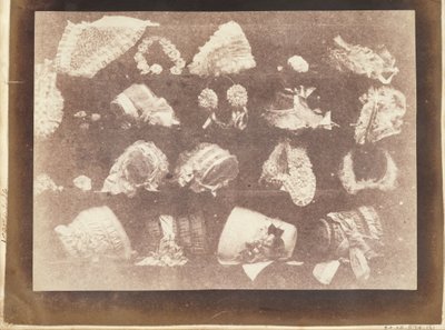 ミリナーズウィンドウ 作： William Henry Fox Talbot