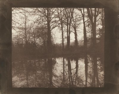 木と反射 作： William Henry Fox Talbot