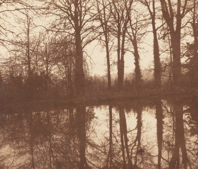 池に映る冬の木々 作： William Henry Fox Talbot