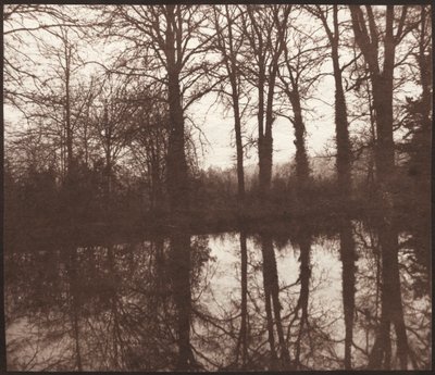 池に映った冬の木、1841-42年。 作： William Henry Fox Talbot