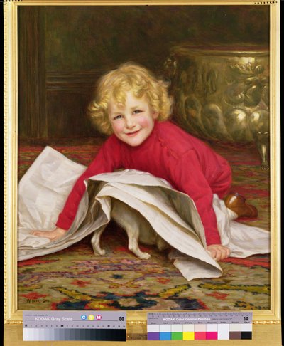 プレイメイト 作： William Henry Gore