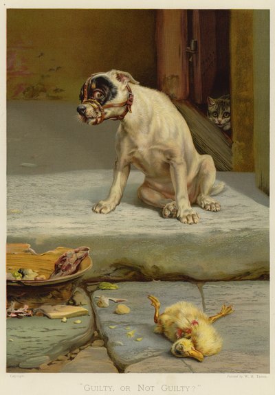 有罪か無罪か（クロモリト） 作： William Henry Hamilton Trood