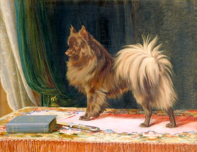 「プレーリー プリンスの肖像」、1897 年 作： William Henry Hamilton Trood