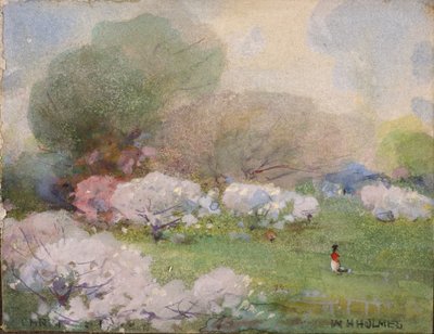 桜 作： William Henry Holmes