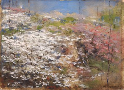 花畑 作： William Henry Holmes