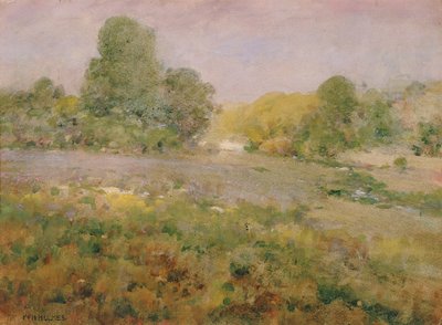 バージニア・ヒルズの晩夏の色とりどりの草原、n.d. 作： William Henry Holmes